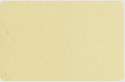 D16 Beige